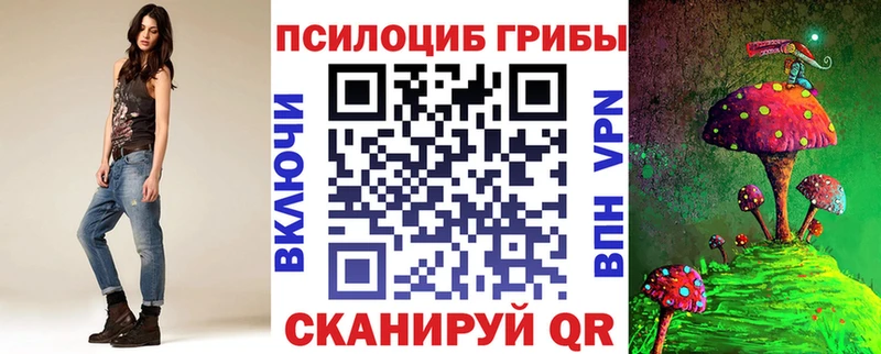 мориарти телеграм  Ижевск  Галлюциногенные грибы прущие грибы  цена наркотик 