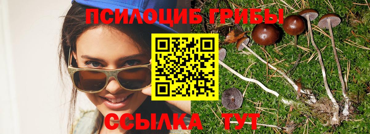 Галлюциногенные грибы GOLDEN TEACHER Ижевск