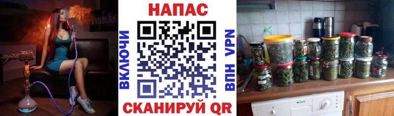 где можно купить   Ижевск  Шишки марихуана марихуана 